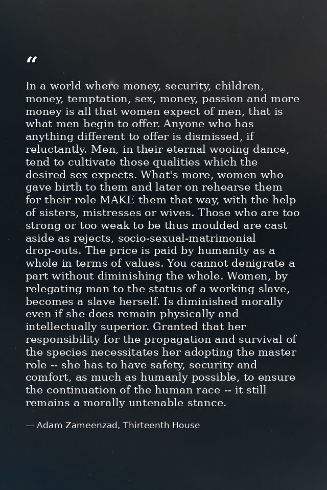 In a world where money, security, children, money, temptation, sex, money, passion and more money is all that women expe — Adam Zameenzad, Thirteenth House