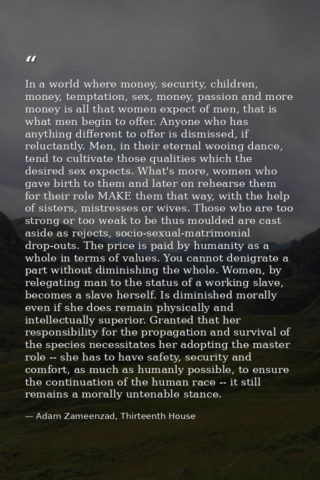 In a world where money, security, children, money, temptation, sex, money, passion and more money is all that women expe — Adam Zameenzad, Thirteenth House