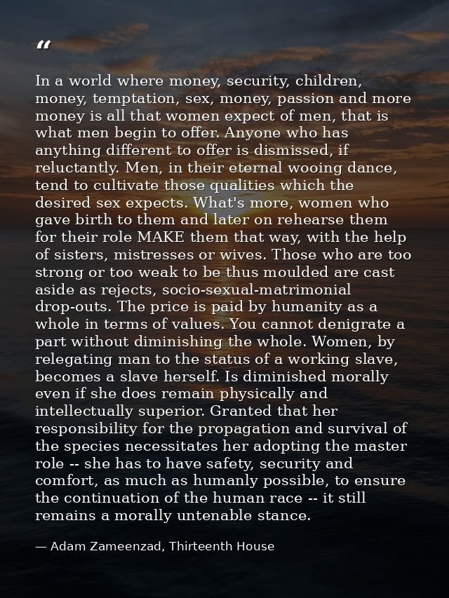 In a world where money, security, children, money, temptation, sex, money, passion and more money is all that women expe — Adam Zameenzad, Thirteenth House
