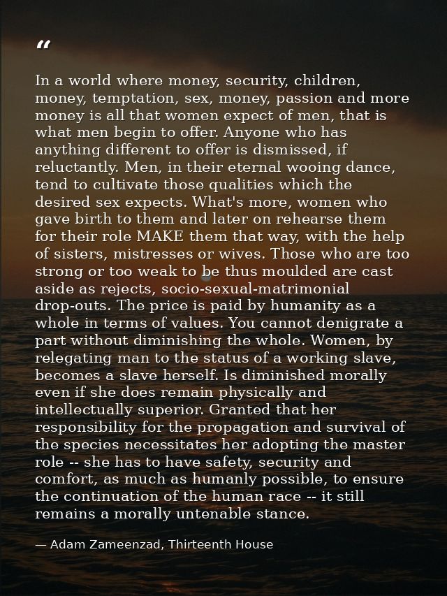 In a world where money, security, children, money, temptation, sex, money, passion and more money is all that women expe — Adam Zameenzad, Thirteenth House