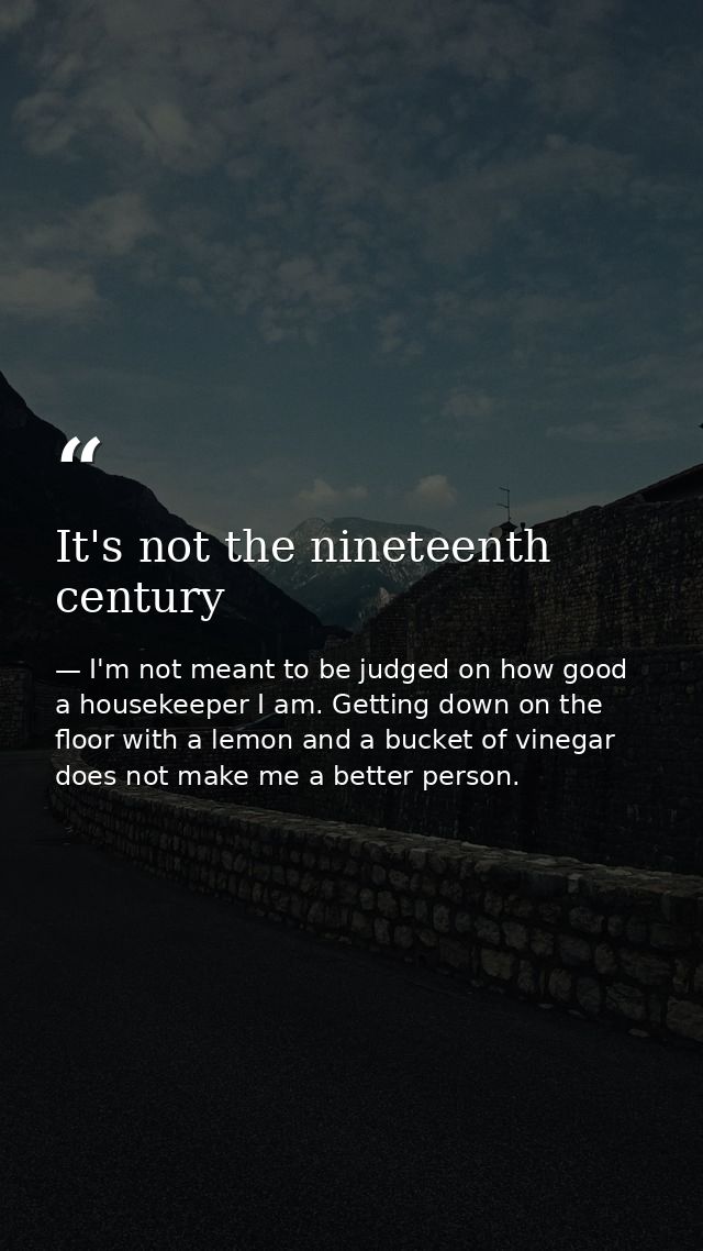 It's not the nineteenth century — I'm not meant to be judged on how good a housekeeper I am. Getting down on the floor with a lemon and a bucket of vinegar does not make me a better person.