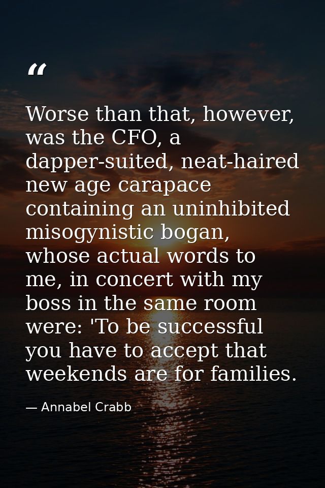 Worse than that, however, was the CFO, a dapper-suited, neat-haired new age carapace containing an uninhibited misogynis — Annabel Crabb