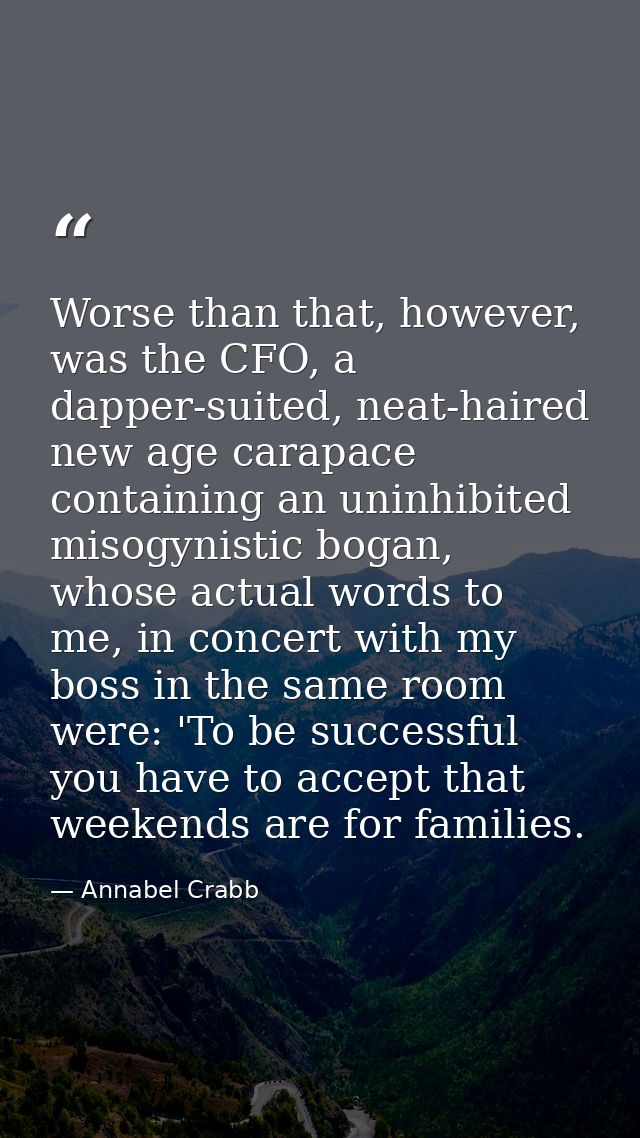 Worse than that, however, was the CFO, a dapper-suited, neat-haired new age carapace containing an uninhibited misogynis — Annabel Crabb