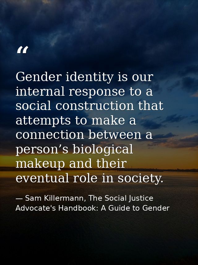 Gender identity is our internal response to a social construction that attempts to make a connection between a person’s  — Sam Killermann, The Social Justice Advocate's Handbook: A Guide to Gender