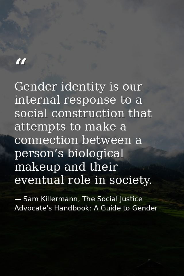 Gender identity is our internal response to a social construction that attempts to make a connection between a person’s  — Sam Killermann, The Social Justice Advocate's Handbook: A Guide to Gender