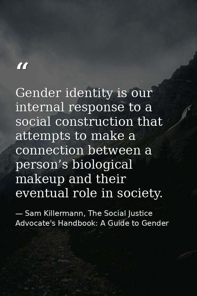 Gender identity is our internal response to a social construction that attempts to make a connection between a person’s  — Sam Killermann, The Social Justice Advocate's Handbook: A Guide to Gender