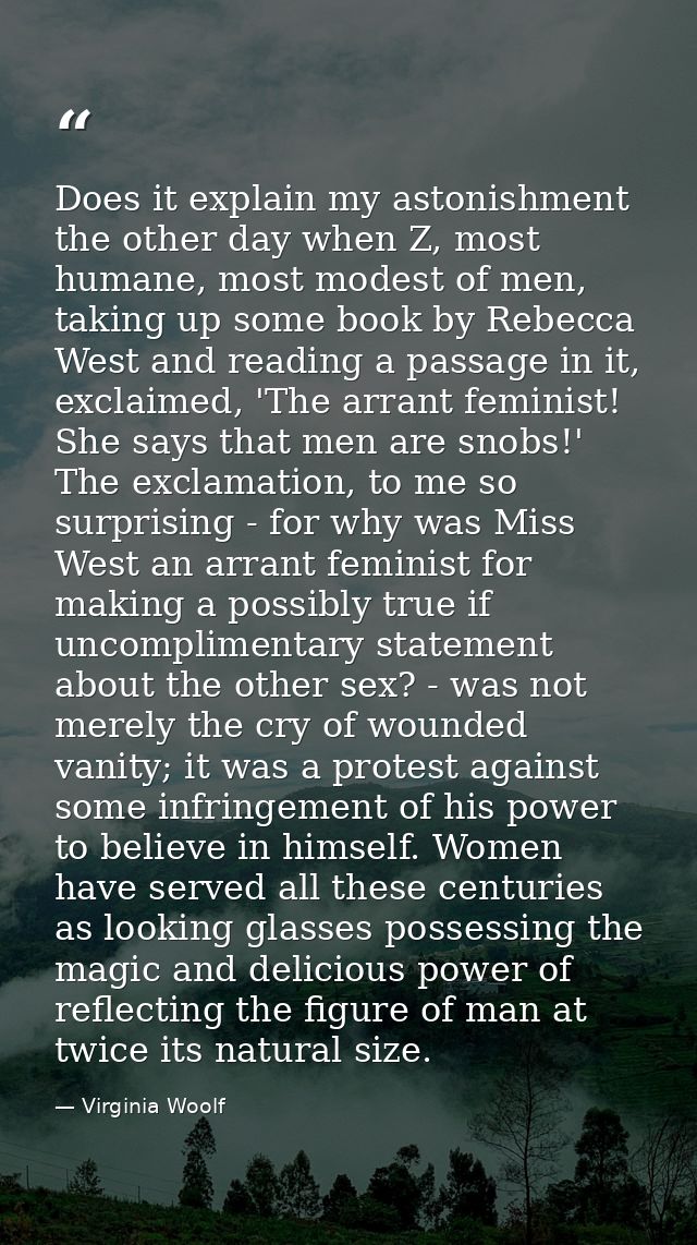 Does it explain my astonishment the other day when Z, most humane, most modest of men, taking up some book by Rebecca We — Virginia Woolf