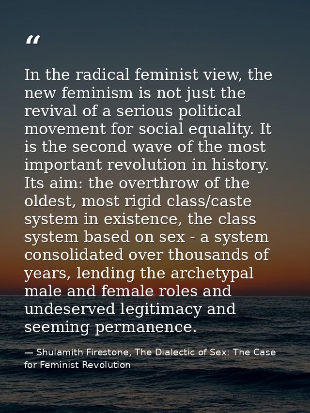 In the radical feminist view, the new feminism is not just the revival of a serious political movement for social equali — Shulamith Firestone, The Dialectic of Sex: The Case for Feminist Revolution