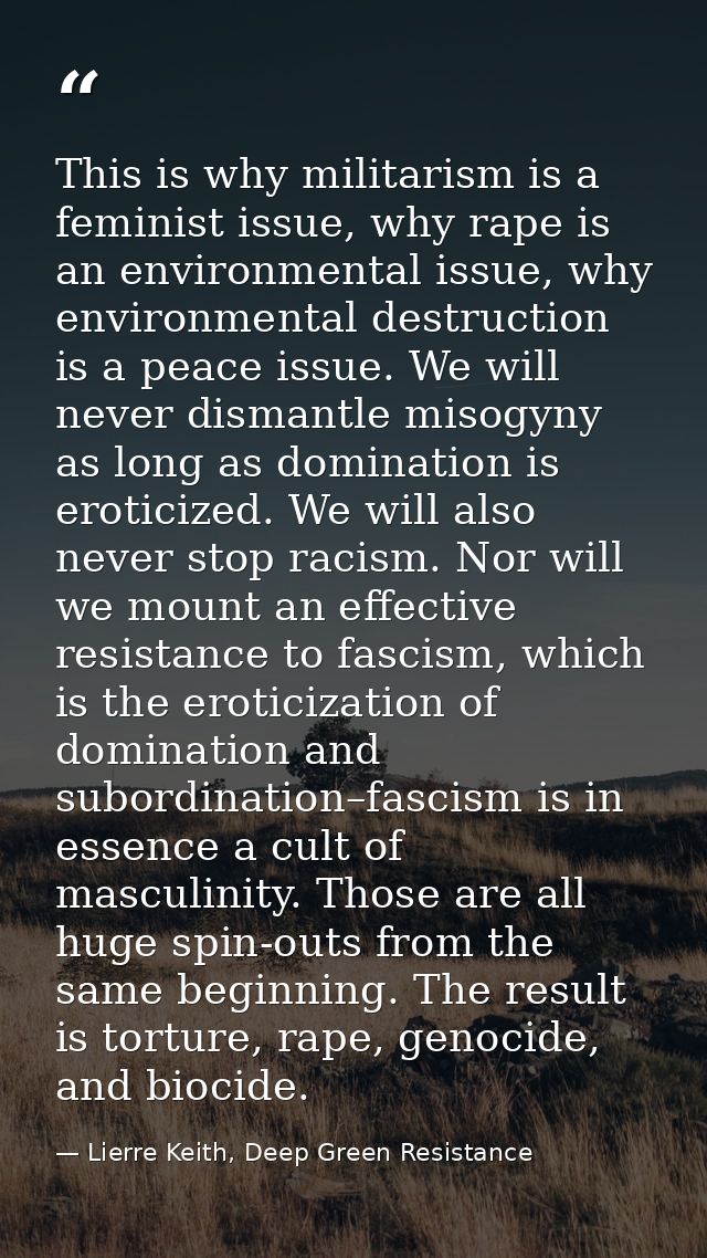 This is why militarism is a feminist issue, why rape is an environmental issue, why environmental destruction is a peace — Lierre Keith, Deep Green Resistance