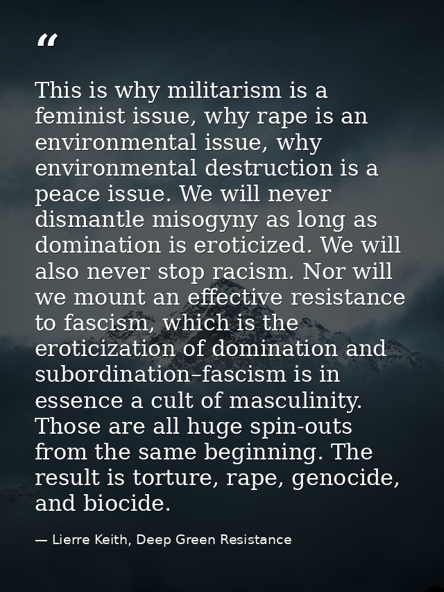 This is why militarism is a feminist issue, why rape is an environmental issue, why environmental destruction is a peace — Lierre Keith, Deep Green Resistance