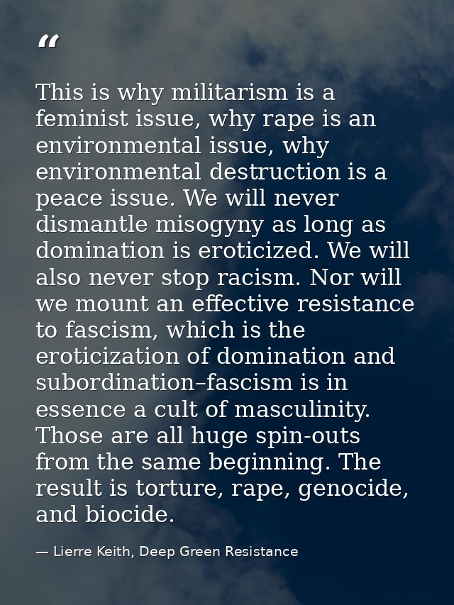 This is why militarism is a feminist issue, why rape is an environmental issue, why environmental destruction is a peace — Lierre Keith, Deep Green Resistance