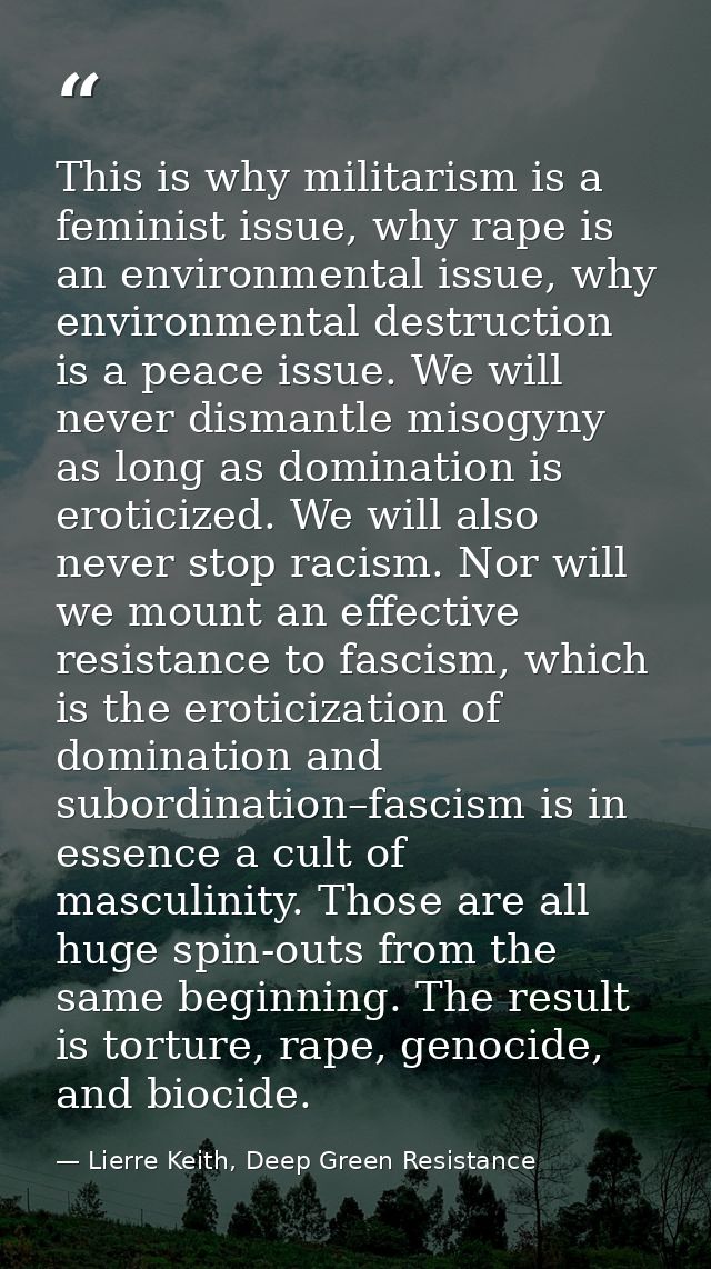This is why militarism is a feminist issue, why rape is an environmental issue, why environmental destruction is a peace — Lierre Keith, Deep Green Resistance