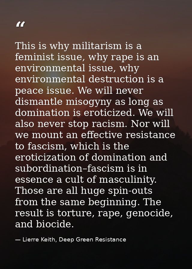 This is why militarism is a feminist issue, why rape is an environmental issue, why environmental destruction is a peace — Lierre Keith, Deep Green Resistance