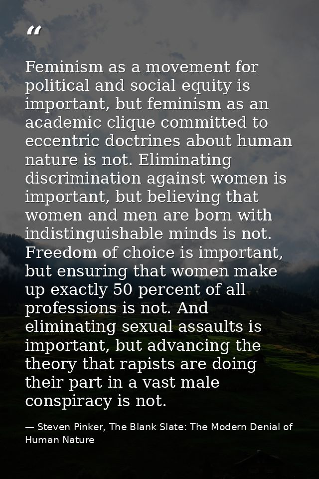 Feminism as a movement for political and social equity is important, but feminism as an academic clique committed to ecc — Steven Pinker, The Blank Slate: The Modern Denial of Human Nature
