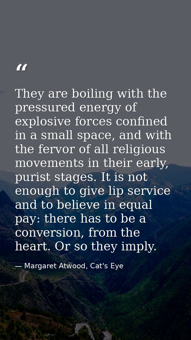 They are boiling with the pressured energy of explosive forces confined in a small space, and with the fervor of all rel — Margaret Atwood, Cat's Eye