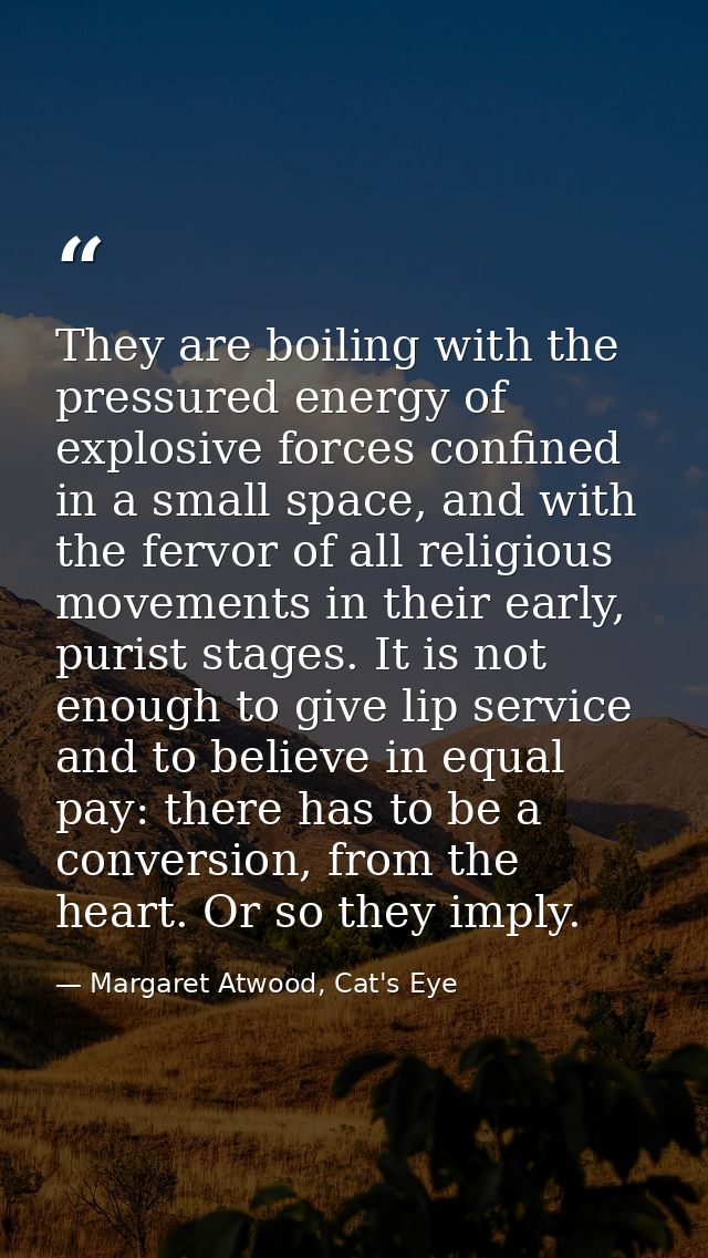 They are boiling with the pressured energy of explosive forces confined in a small space, and with the fervor of all rel — Margaret Atwood, Cat's Eye