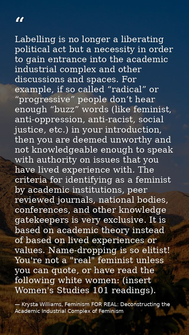 Labelling is no longer a liberating political act but a necessity in order to gain entrance into the academic industrial — Krysta Williams, Feminism FOR REAL: Deconstructing the Academic Industrial Complex of Feminism