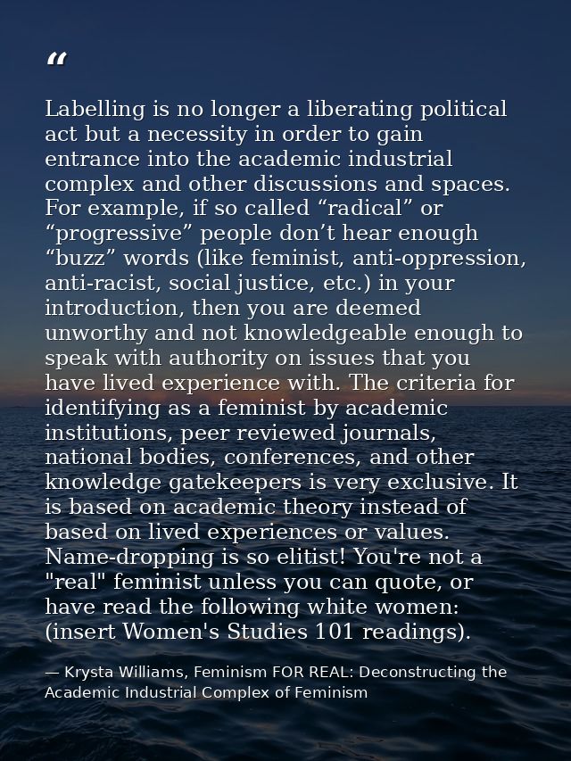Labelling is no longer a liberating political act but a necessity in order to gain entrance into the academic industrial — Krysta Williams, Feminism FOR REAL: Deconstructing the Academic Industrial Complex of Feminism