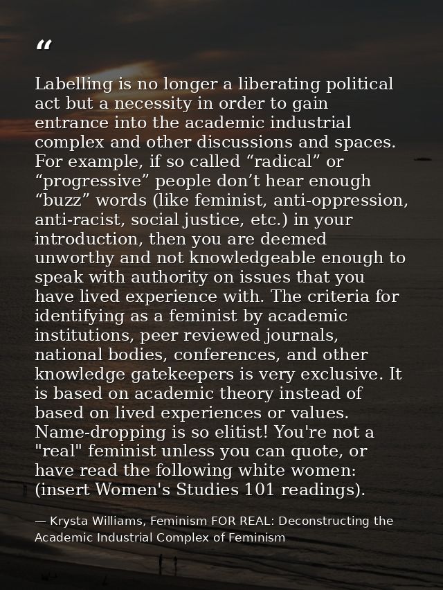Labelling is no longer a liberating political act but a necessity in order to gain entrance into the academic industrial — Krysta Williams, Feminism FOR REAL: Deconstructing the Academic Industrial Complex of Feminism