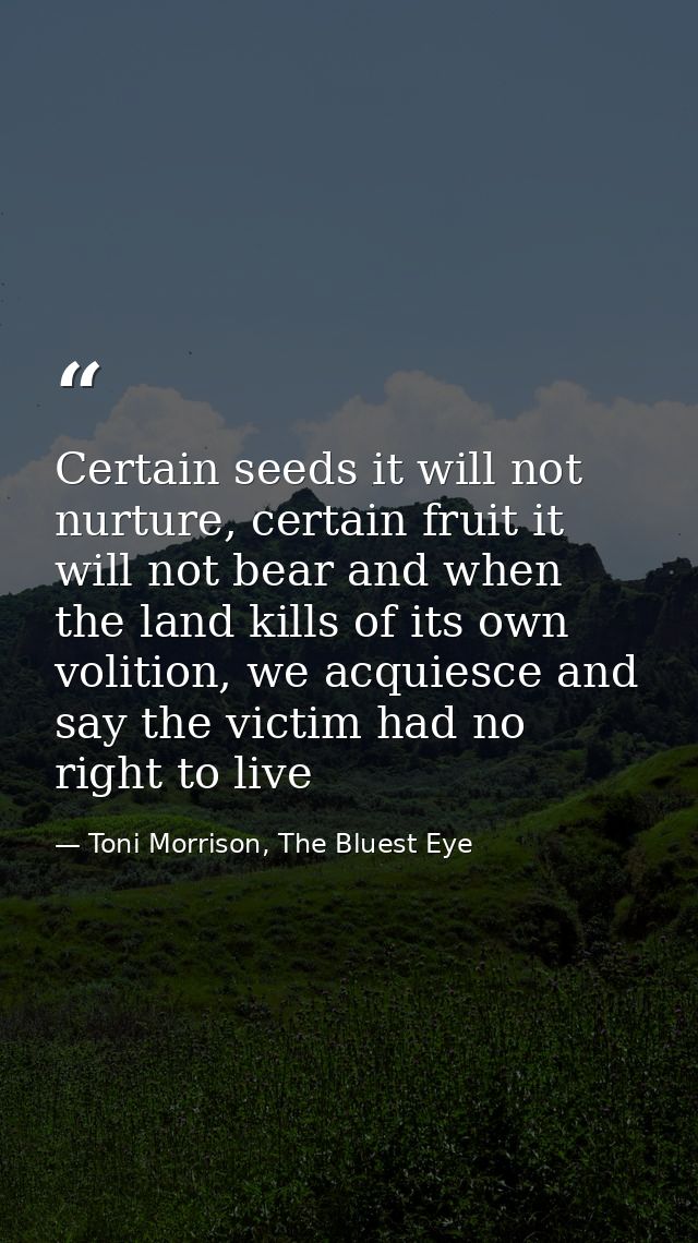 Certain seeds it will not nurture, certain fruit it will not bear and when the land kills of its own volition, we acquie — Toni Morrison, The Bluest Eye