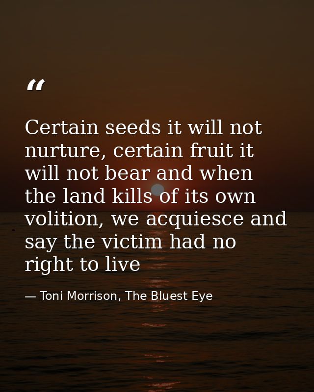 Certain seeds it will not nurture, certain fruit it will not bear and when the land kills of its own volition, we acquie — Toni Morrison, The Bluest Eye