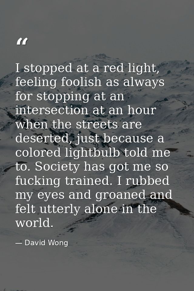 I stopped at a red light, feeling foolish as always for stopping at an intersection at an hour when the streets are dese — David Wong