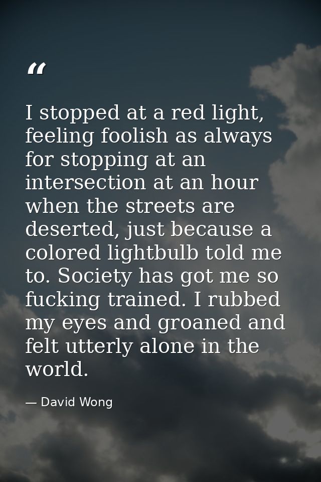 I stopped at a red light, feeling foolish as always for stopping at an intersection at an hour when the streets are dese — David Wong