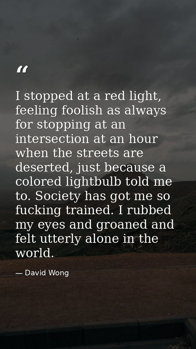 I stopped at a red light, feeling foolish as always for stopping at an intersection at an hour when the streets are dese — David Wong