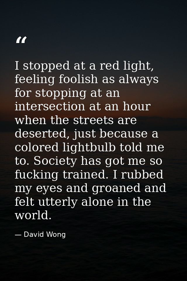 I stopped at a red light, feeling foolish as always for stopping at an intersection at an hour when the streets are dese — David Wong
