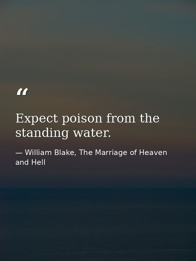 Expect poison from the standing water. — William Blake, The Marriage of Heaven and Hell