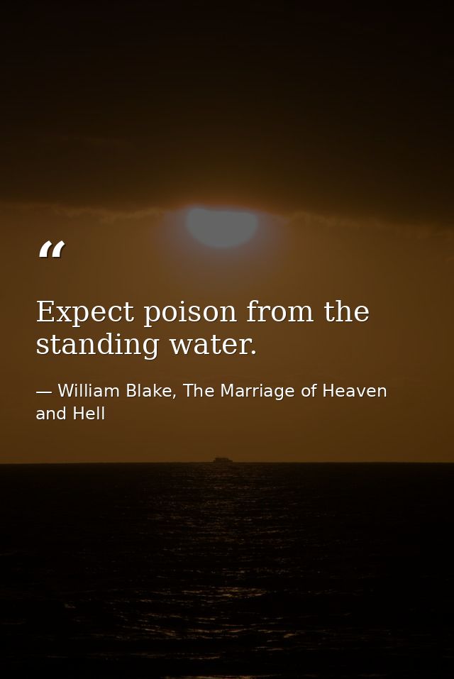 Expect poison from the standing water. — William Blake, The Marriage of Heaven and Hell