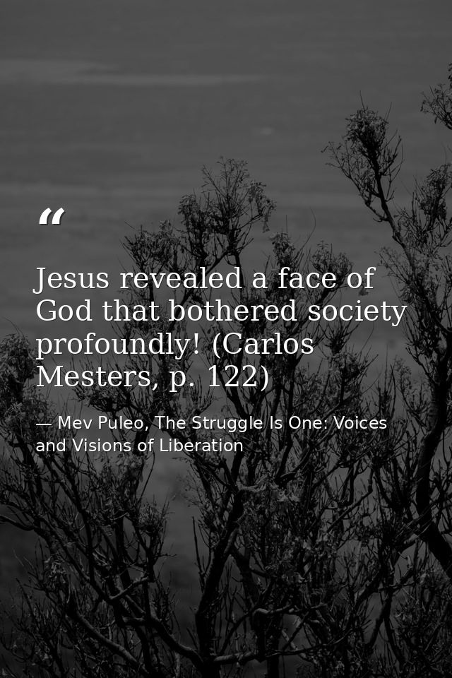 Jesus revealed a face of God that bothered society profoundly! (Carlos Mesters, p. 122) — Mev Puleo, The Struggle Is One: Voices and Visions of Liberation