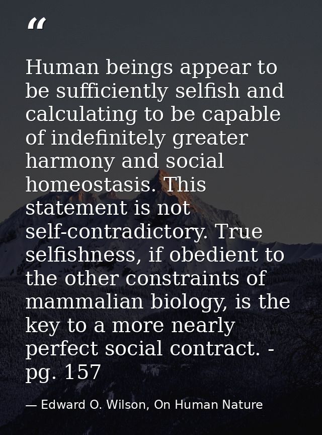 Human beings appear to be sufficiently selfish and calculating to be capable of indefinitely greater harmony and social  — Edward O. Wilson, On Human Nature