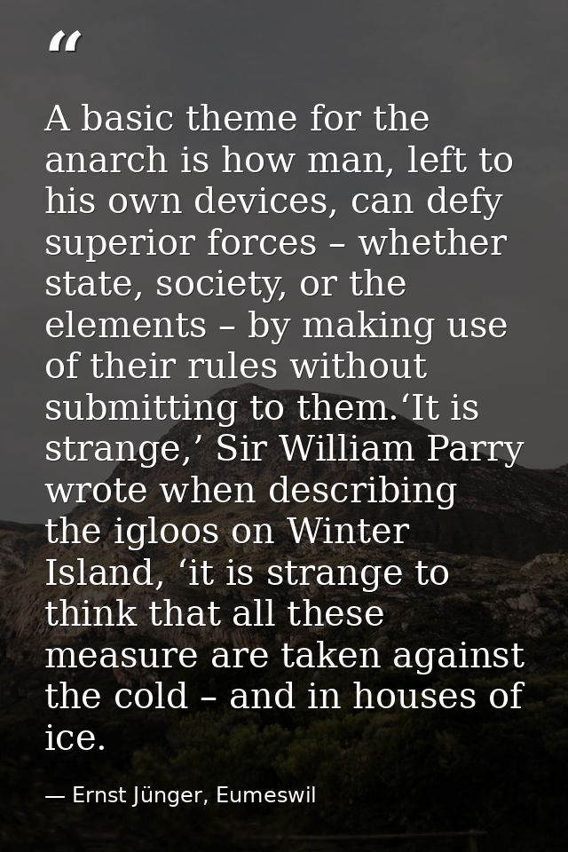 A basic theme for the anarch is how man, left to his own devices, can defy superior forces – whether state, society, or  — Ernst Jünger, Eumeswil