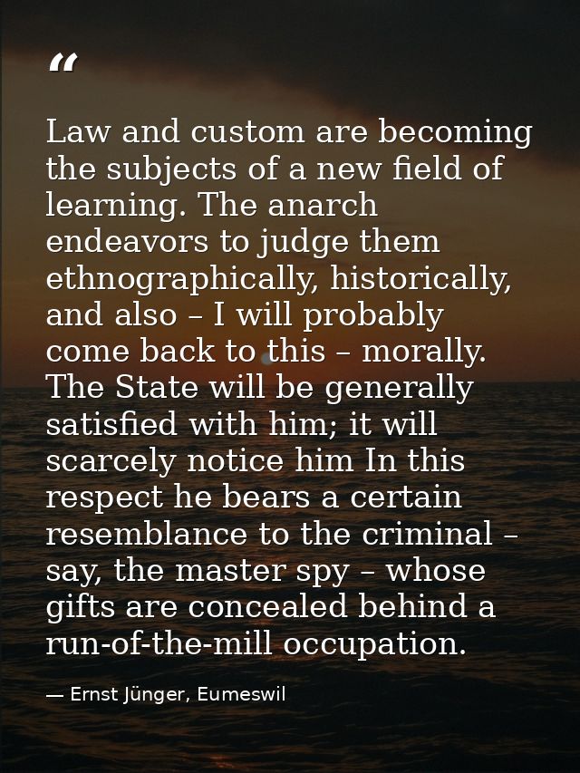 Law and custom are becoming the subjects of a new field of learning. The anarch endeavors to judge them ethnographically — Ernst Jünger, Eumeswil