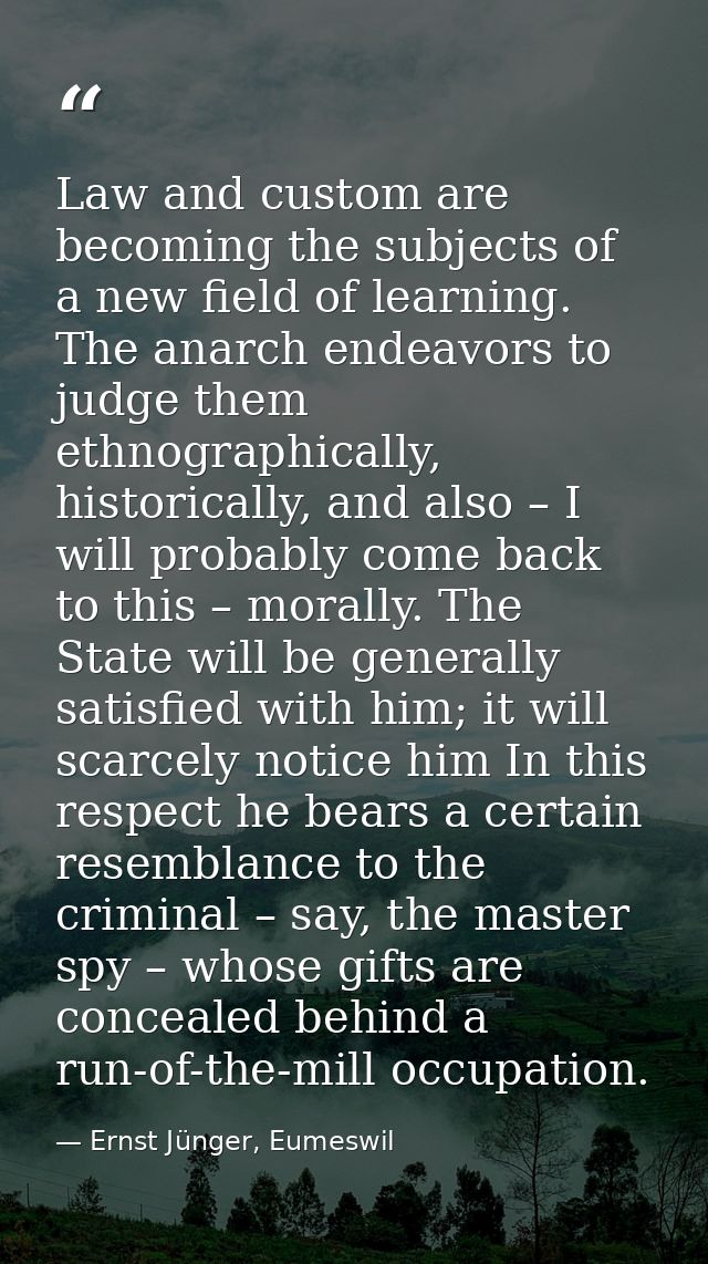 Law and custom are becoming the subjects of a new field of learning. The anarch endeavors to judge them ethnographically — Ernst Jünger, Eumeswil