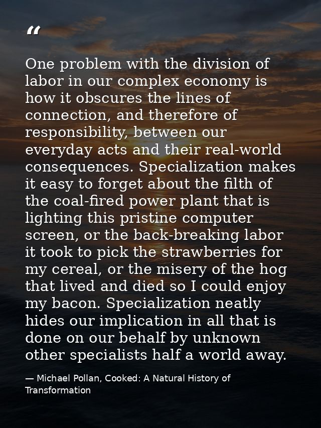 One problem with the division of labor in our complex economy is how it obscures the lines of connection, and therefore  — Michael Pollan, Cooked: A Natural History of Transformation