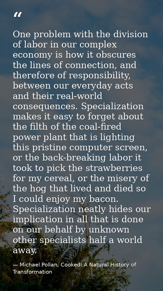 One problem with the division of labor in our complex economy is how it obscures the lines of connection, and therefore  — Michael Pollan, Cooked: A Natural History of Transformation
