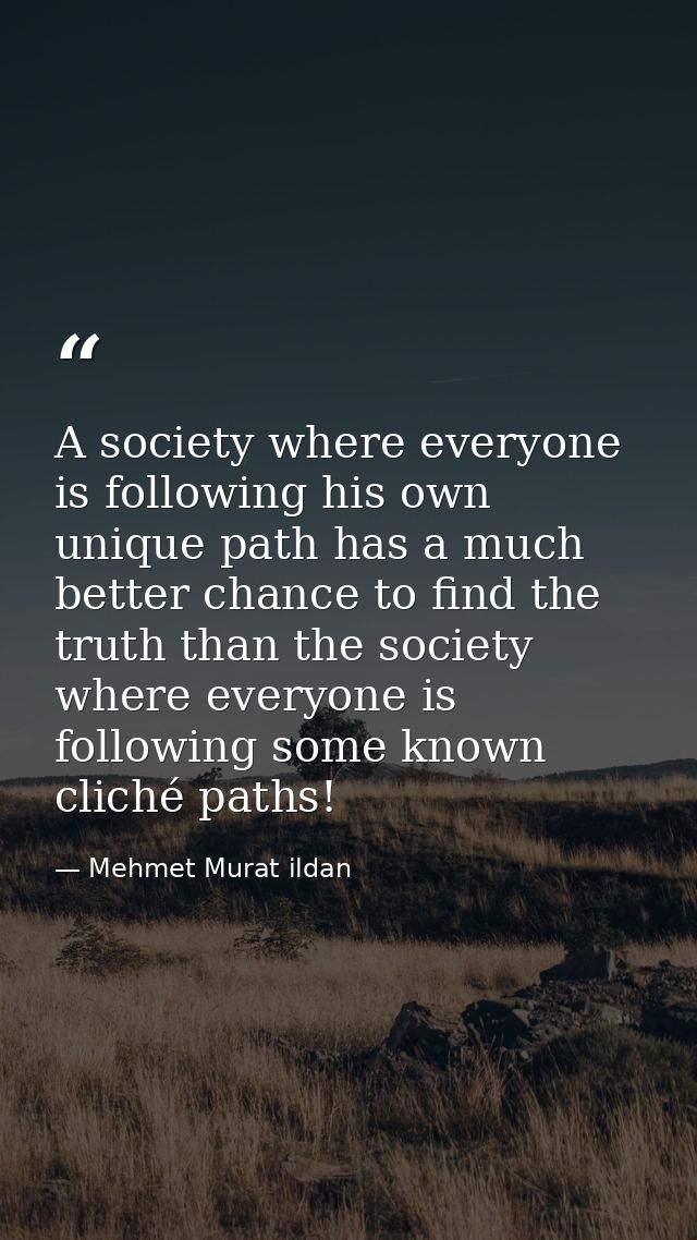 A society where everyone is following his own unique path has a much better chance to find the truth than the society wh — Mehmet Murat ildan