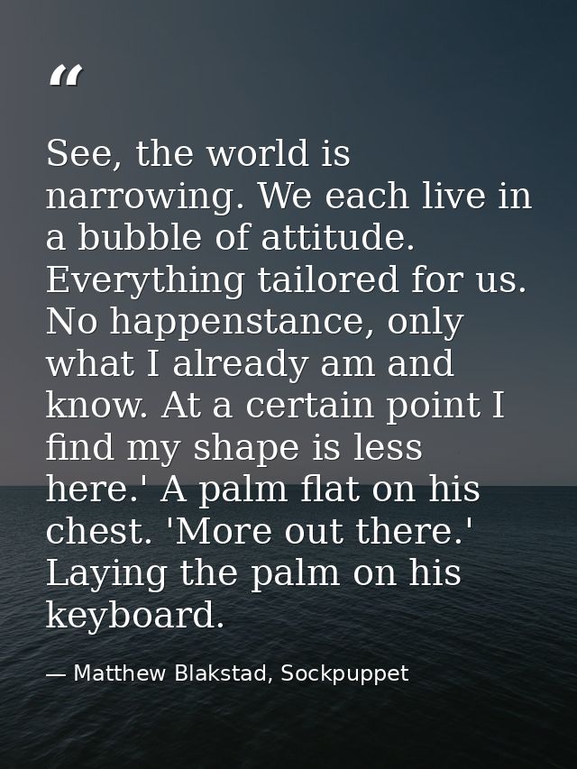 See, the world is narrowing. We each live in a bubble of attitude. Everything tailored for us. No happenstance, only wha — Matthew Blakstad, Sockpuppet