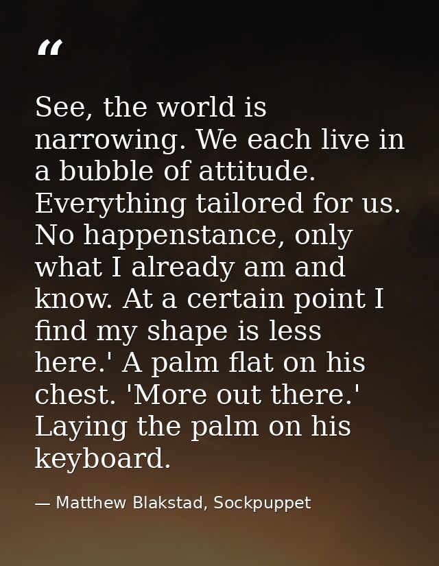 See, the world is narrowing. We each live in a bubble of attitude. Everything tailored for us. No happenstance, only wha — Matthew Blakstad, Sockpuppet