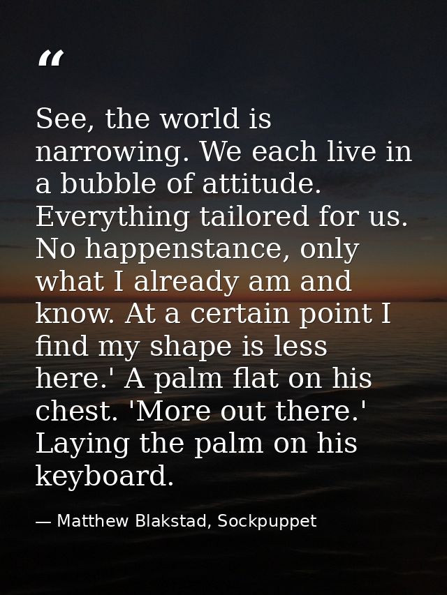 See, the world is narrowing. We each live in a bubble of attitude. Everything tailored for us. No happenstance, only wha — Matthew Blakstad, Sockpuppet