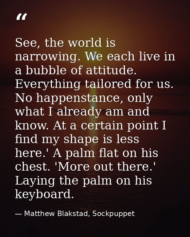 See, the world is narrowing. We each live in a bubble of attitude. Everything tailored for us. No happenstance, only wha — Matthew Blakstad, Sockpuppet