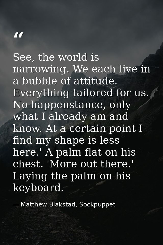 See, the world is narrowing. We each live in a bubble of attitude. Everything tailored for us. No happenstance, only wha — Matthew Blakstad, Sockpuppet