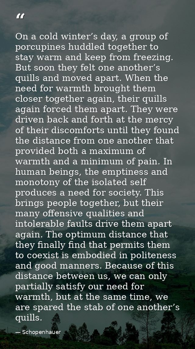On a cold winter’s day, a group of porcupines huddled together to stay warm and keep from freezing. But soon they felt o — Schopenhauer