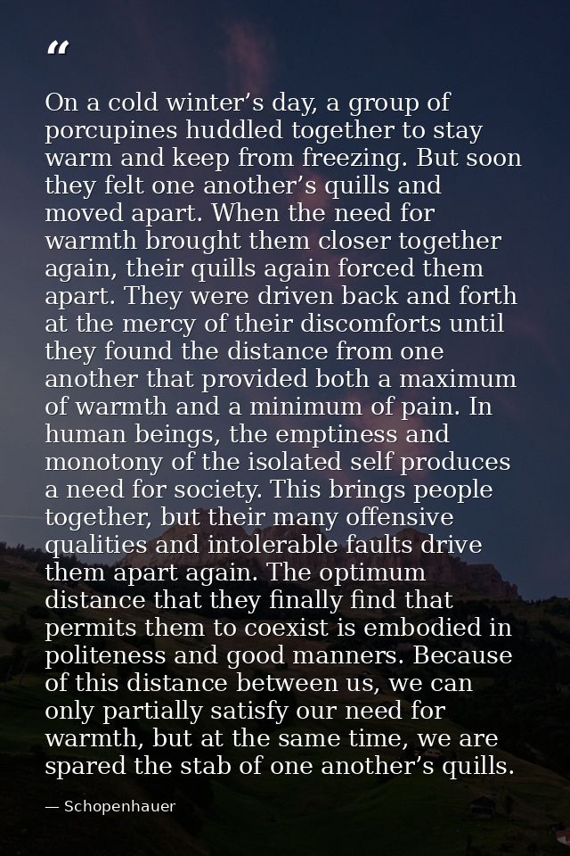 On a cold winter’s day, a group of porcupines huddled together to stay warm and keep from freezing. But soon they felt o — Schopenhauer