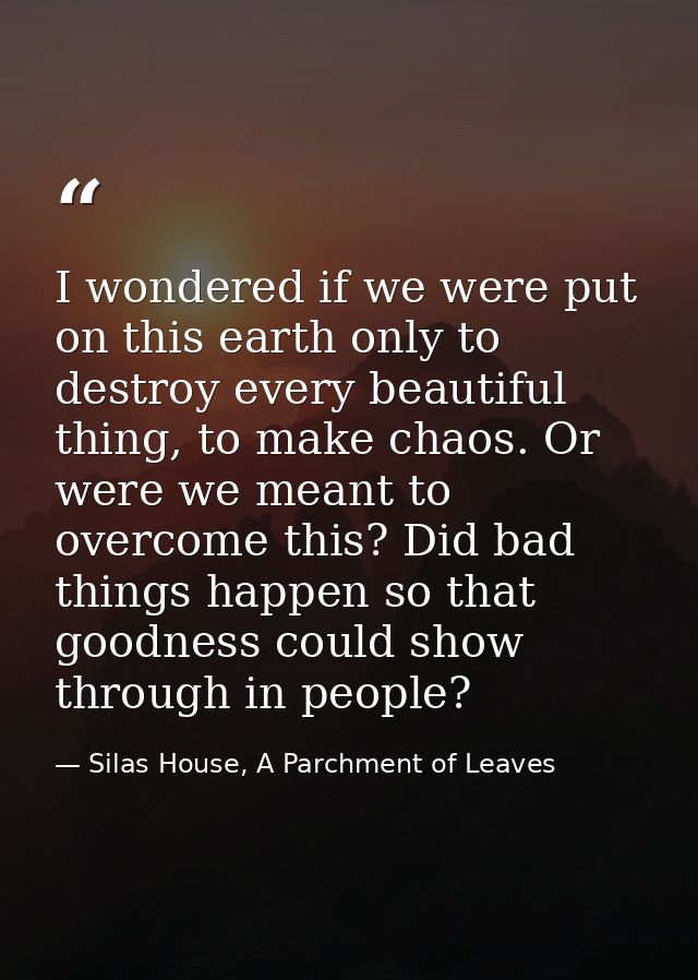 I wondered if we were put on this earth only to destroy every beautiful thing, to make chaos. Or were we meant to overco — Silas House, A Parchment of Leaves
