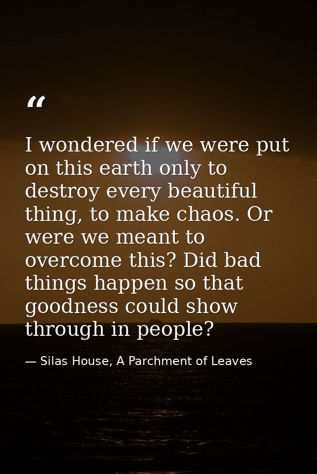 I wondered if we were put on this earth only to destroy every beautiful thing, to make chaos. Or were we meant to overco — Silas House, A Parchment of Leaves