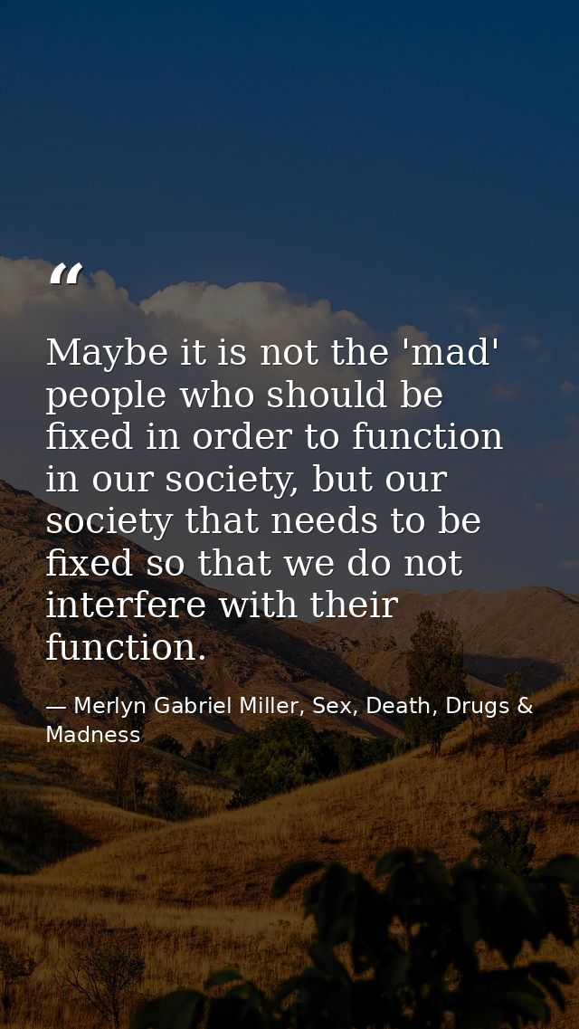 Maybe it is not the 'mad' people who should be fixed in order to function in our society, but our society that needs to  — Merlyn Gabriel Miller, Sex, Death, Drugs & Madness