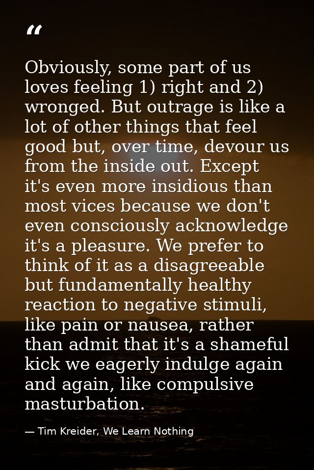 Obviously, some part of us loves feeling 1) right and 2) wronged. But outrage is like a lot of other things that feel go — Tim Kreider, We Learn Nothing